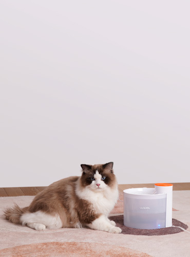 Glitter Pet Water Fountain Ultra Silent Water Dispenser With LED Light