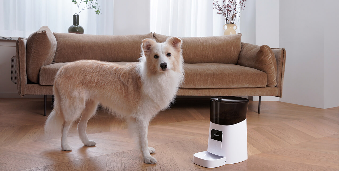 Patrol Automatic Pet Feeder WiFi Remote Control